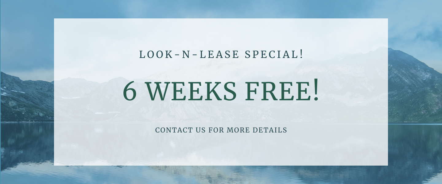 Look-n-lease special   Contact us for more details
